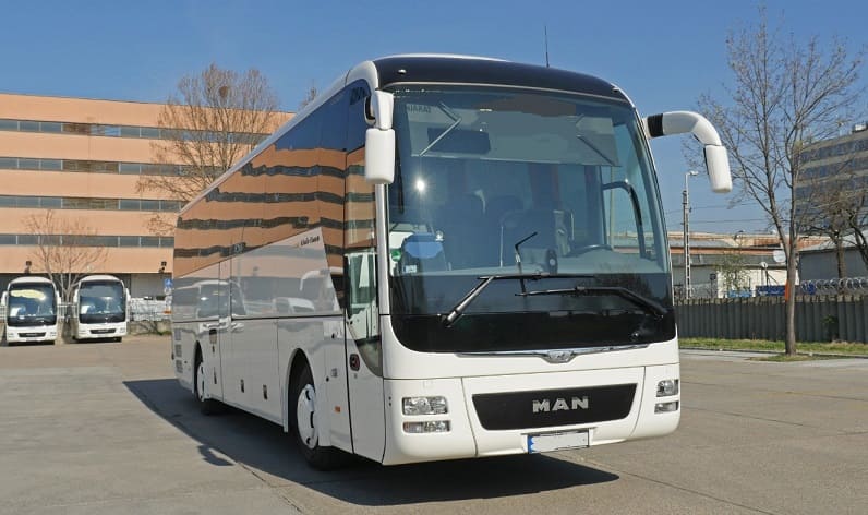 South Holland: Buses operator in Sassenheim in Sassenheim and Netherlands